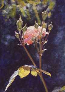 La soledad de una rosa II (1998), watercolour21,5 x 15,5 cm - Sold