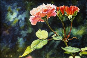 My roses VII (1998), watercolour 17 x 23,5 cm - Sold