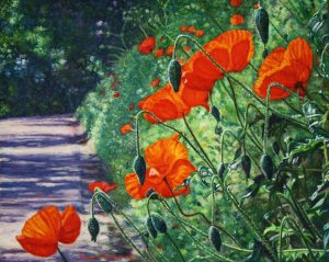 Nel Giardino della Toscana IV/Poppies for Christa (2011 by commission) - oil on linen - 40 x 50 cm - Sold
