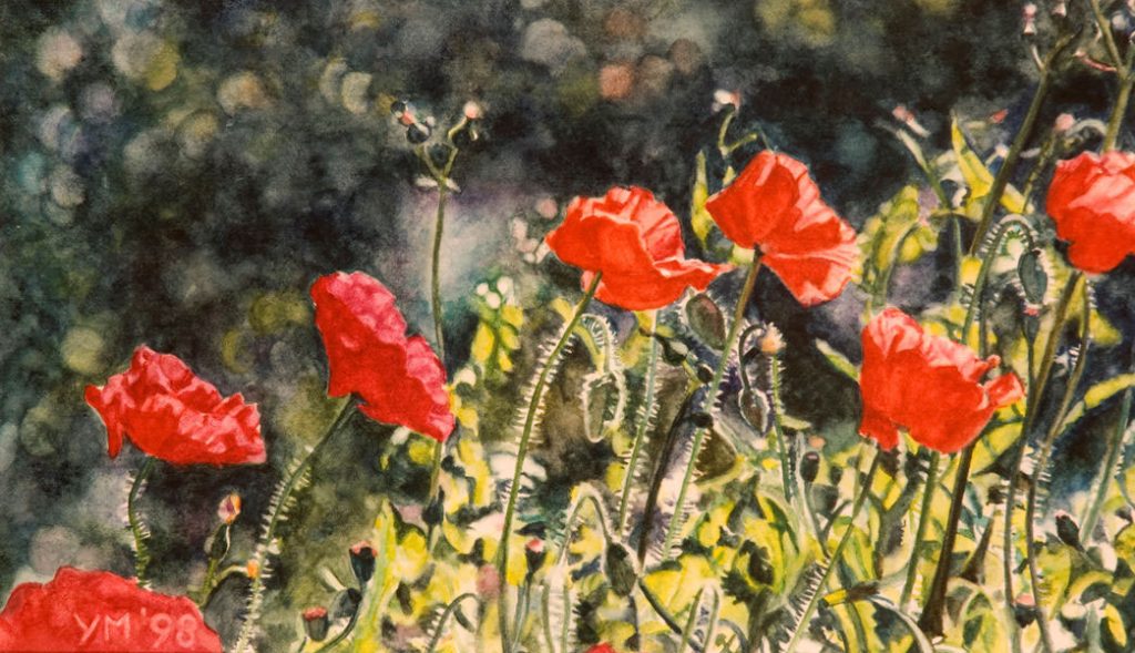 Poppies in E. (1998), aquarel 15 x 24,5 cm - Sold