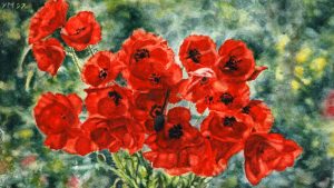 Poppies in a vase (1997), watercolour 14,5 x 24,5 cm - in a private collection
