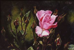Rosa Toscana (1998) , watercolour 16,5 x 25 cm - Sold