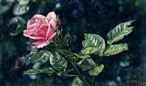 Sunny rose in E. (1997), watercolour 14,5 x 24 cm - Sold