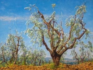 Terra Senese (2006), oil on linen, 75 x 100 cm (2006) - Sold