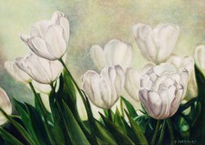 Tulips from Amsterdam, watercolour 27 x 37,5 cm - Euro 650